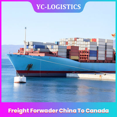 Sea CIF Door DDP Express Freight Forwarder China To Canada