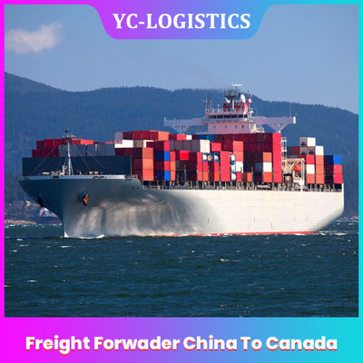 DDP DDU Amazon FBA Freight Forwarder China