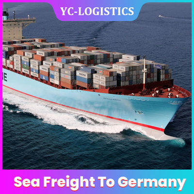 Sea DDP DDU Amazon FBA Freight Forwarder From China To Germany