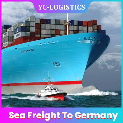 FTW1 Ningbo Sea Freight To Germany , FBA Sea Freight From China To South Africa