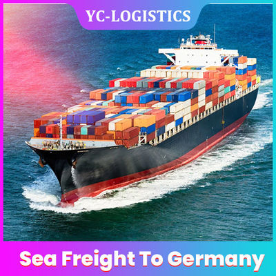 Guangzhou Shanghai DDP Sea Freight To Germany From China