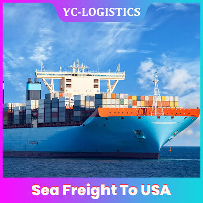 DDP Amazon FBA Sea Freight Forwarding Services To USA