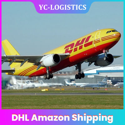 FCL LCL DHL Amazon Shipping , DDU DHL Shipping From China To USA