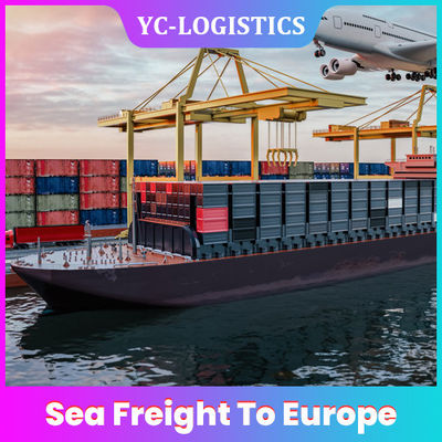 FTW1 Shenzhen Shanghai Ningbo Sea Freight To Europe From Shenzhen Low Insurance Rates