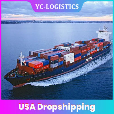 7 Days Storage DDU DDP USA Dropshipping Door To Door