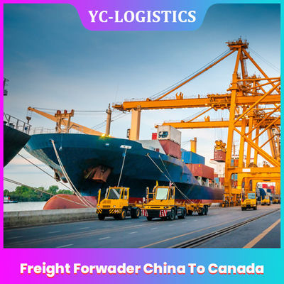 FOB EXW China To Canada Freight Forwarder From Shenzhen To Worldwide  , DDU Sea Freight Forwarding Services