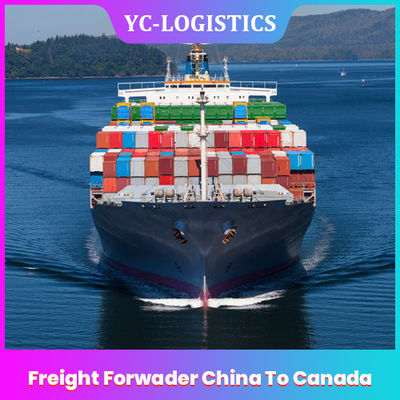 FOB Sea 1 To 17 Days Freight Forwarder China To Canada