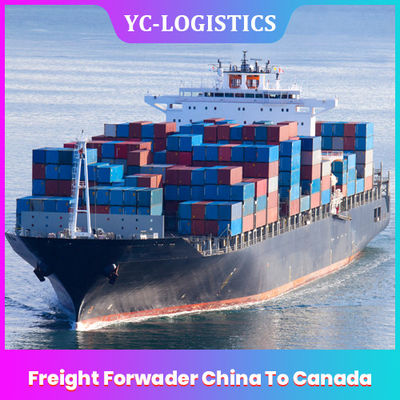 3 To 17 Days DDP DDU Shipping Agent China To Canada , Shenzhen Amazon FBA Freight Forwarder