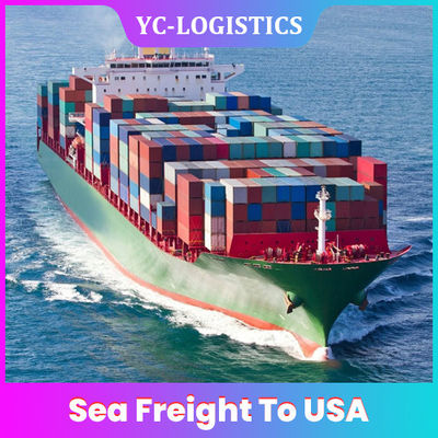 Daily Departure Sea DDU DDP China To USA Freight Forwarder