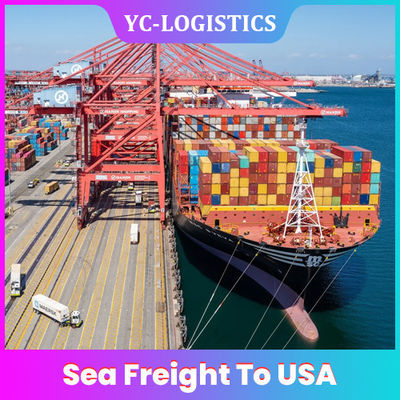 Door To Door DDP Sea Freight To USA , 28 To 35 Days International Shipping Forwarder