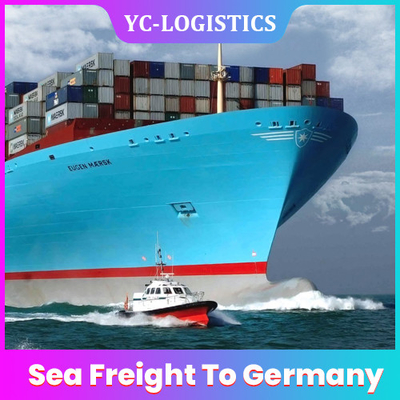 Shipping From China To Slovakia Europe DDP Freight Forwarder Prefessional