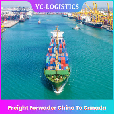 EXW DDU Freight Forwarder China To Canada 24h Online Collect Service