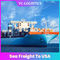 DDP Amazon FBA Sea Freight Forwarding Services To USA