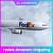Profesional Fedex Amazon Shipping Experienced Air To Morocco Ddp Door To Door